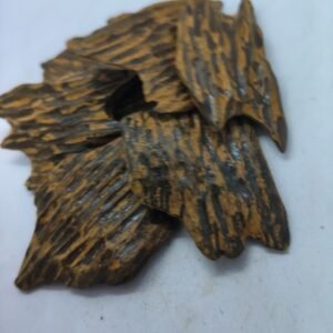 LEMPENG VT